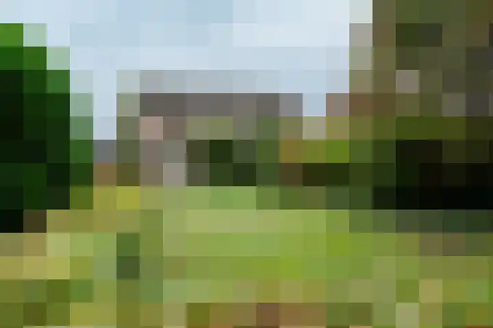 Hertespoor 11 Barneveld thumbnail 53