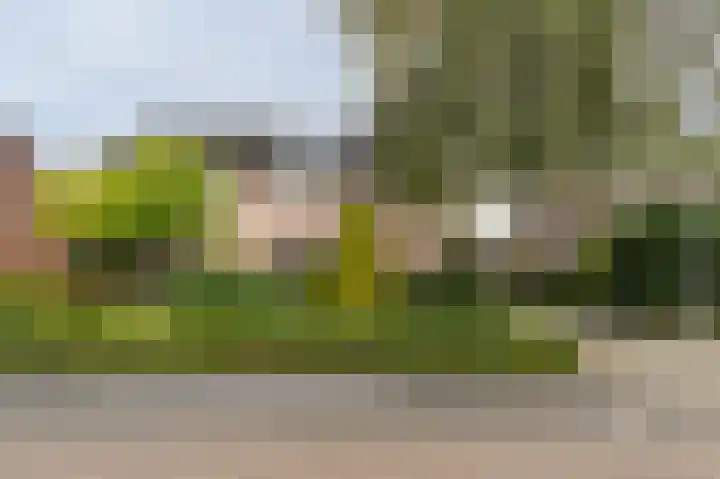 Hertespoor 11 Barneveld thumbnail 6