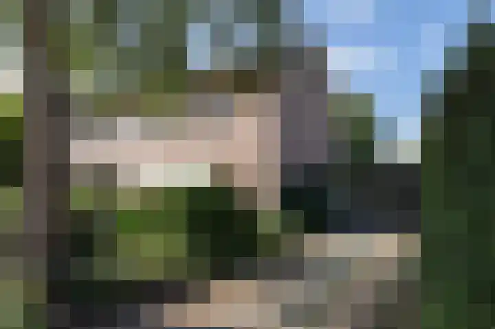 Hertespoor 11 Barneveld thumbnail 64