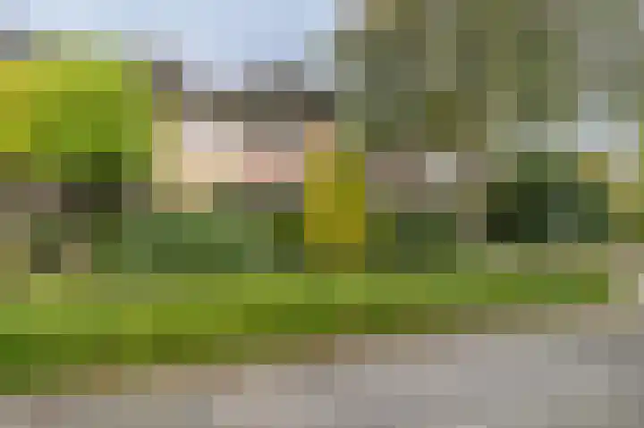 Hertespoor 11 Barneveld thumbnail 7