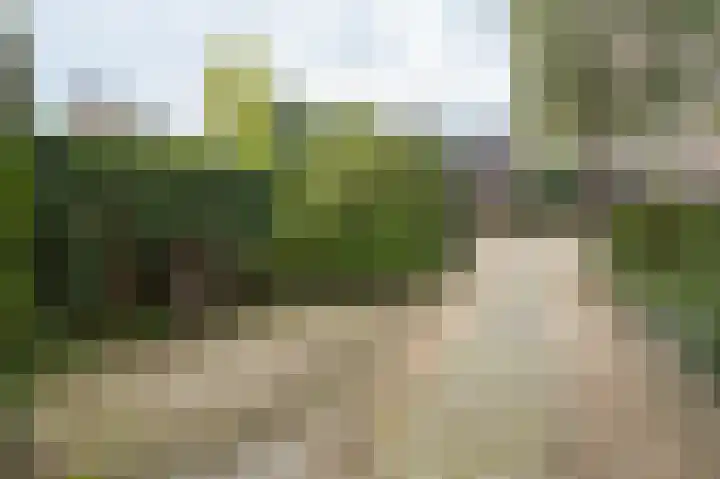 Hertespoor 11 Barneveld thumbnail 9