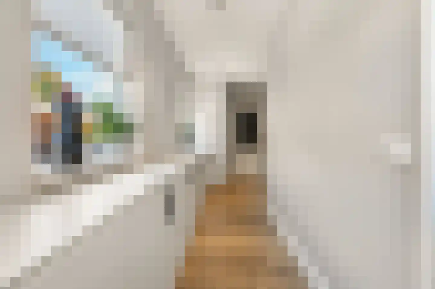 Hertespoor 18 Barneveld thumbnail 18