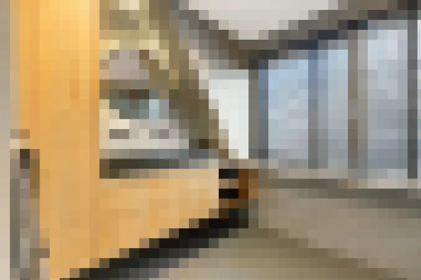 Hertespoor 18 Barneveld thumbnail 27