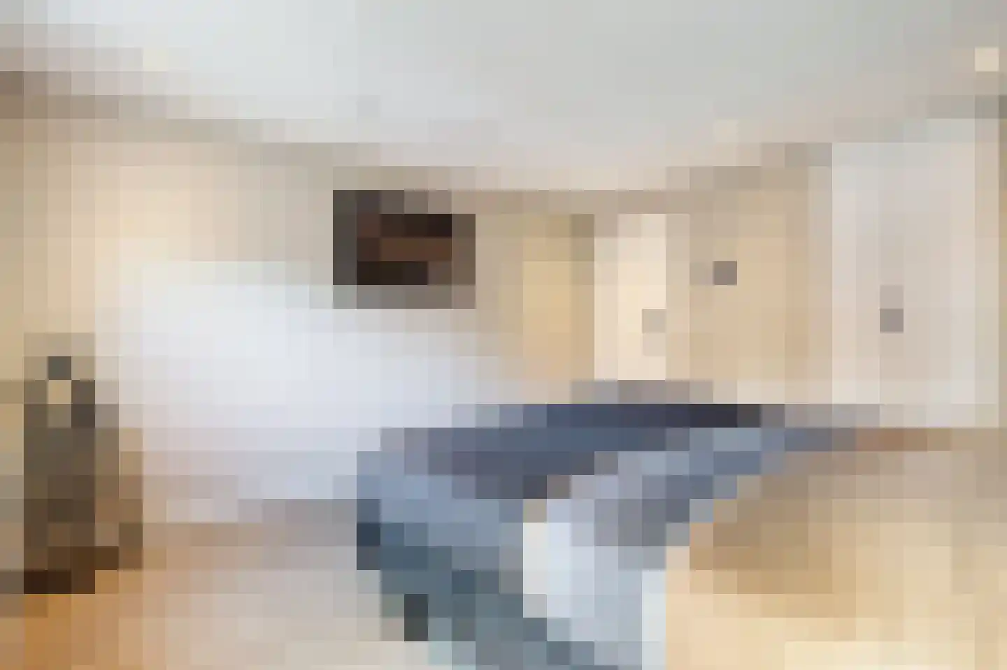 Hertespoor 18 Barneveld thumbnail 32