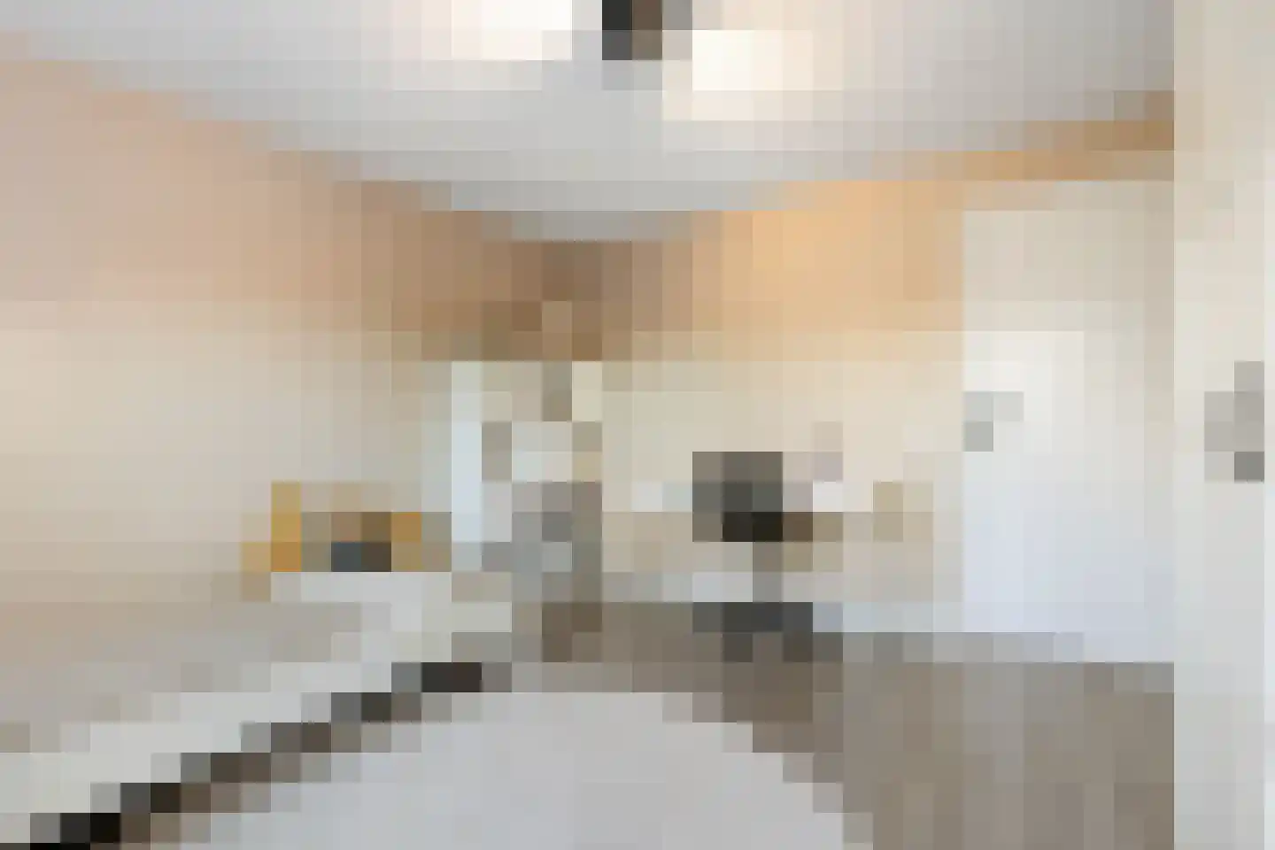 Hertespoor 18 Barneveld thumbnail 39