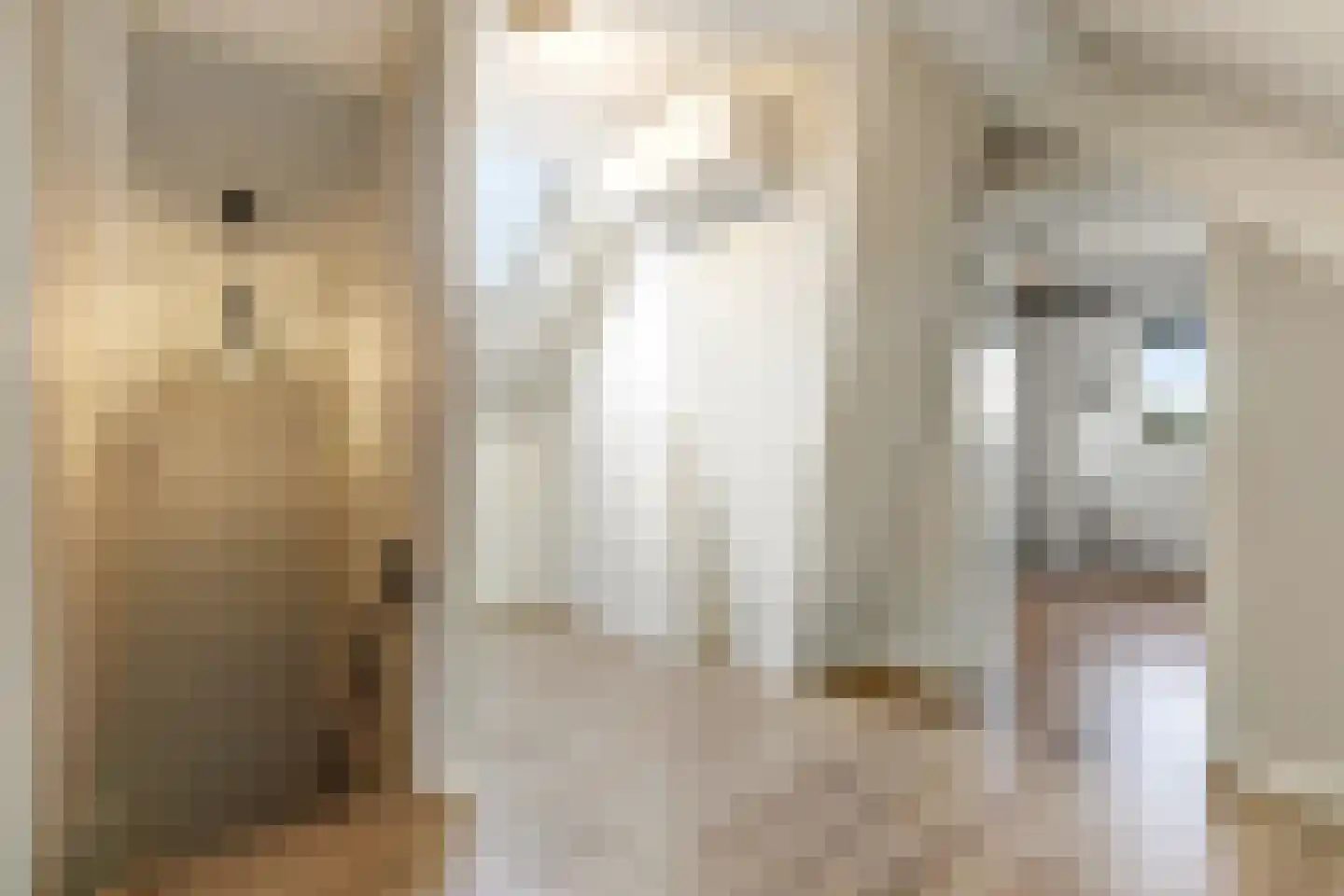 Hertespoor 18 Barneveld thumbnail 40