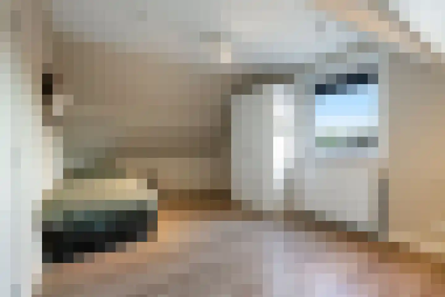 Hertespoor 18 Barneveld thumbnail 43