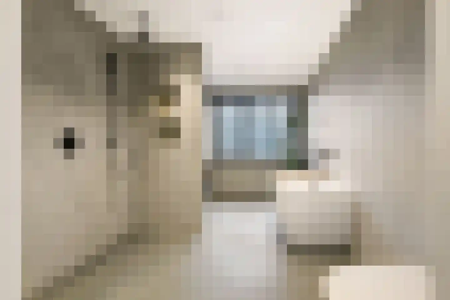 Hertespoor 18 Barneveld thumbnail 5