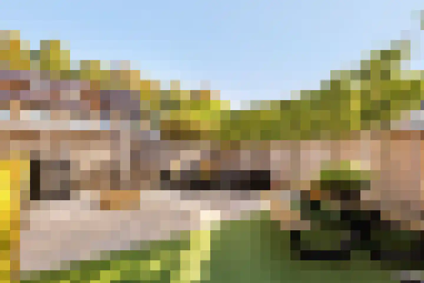 Hertespoor 18 Barneveld thumbnail 54