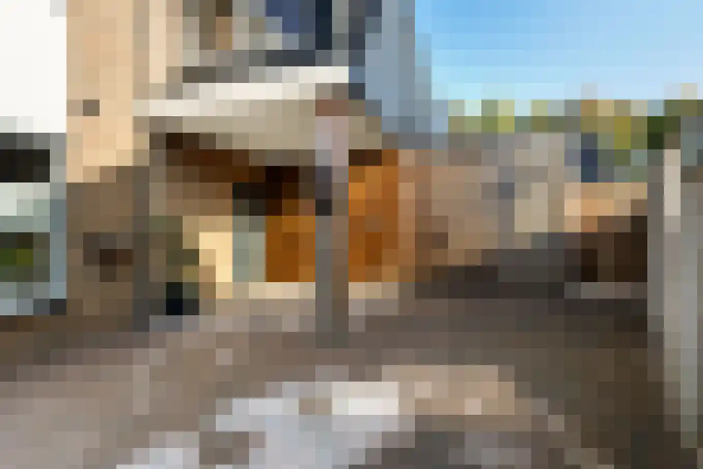 Hertespoor 18 Barneveld thumbnail 61