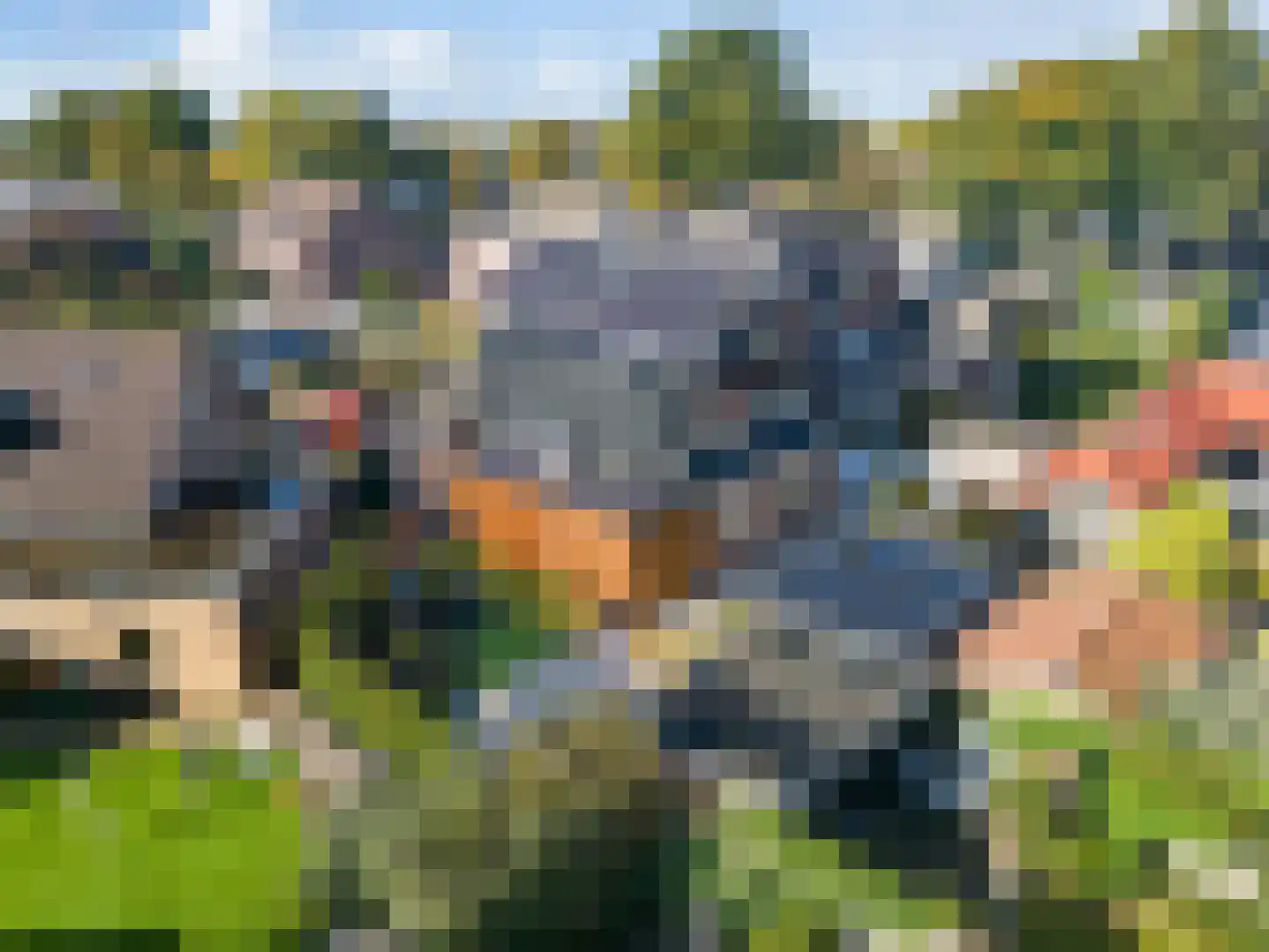Hertespoor 18 Barneveld thumbnail 67