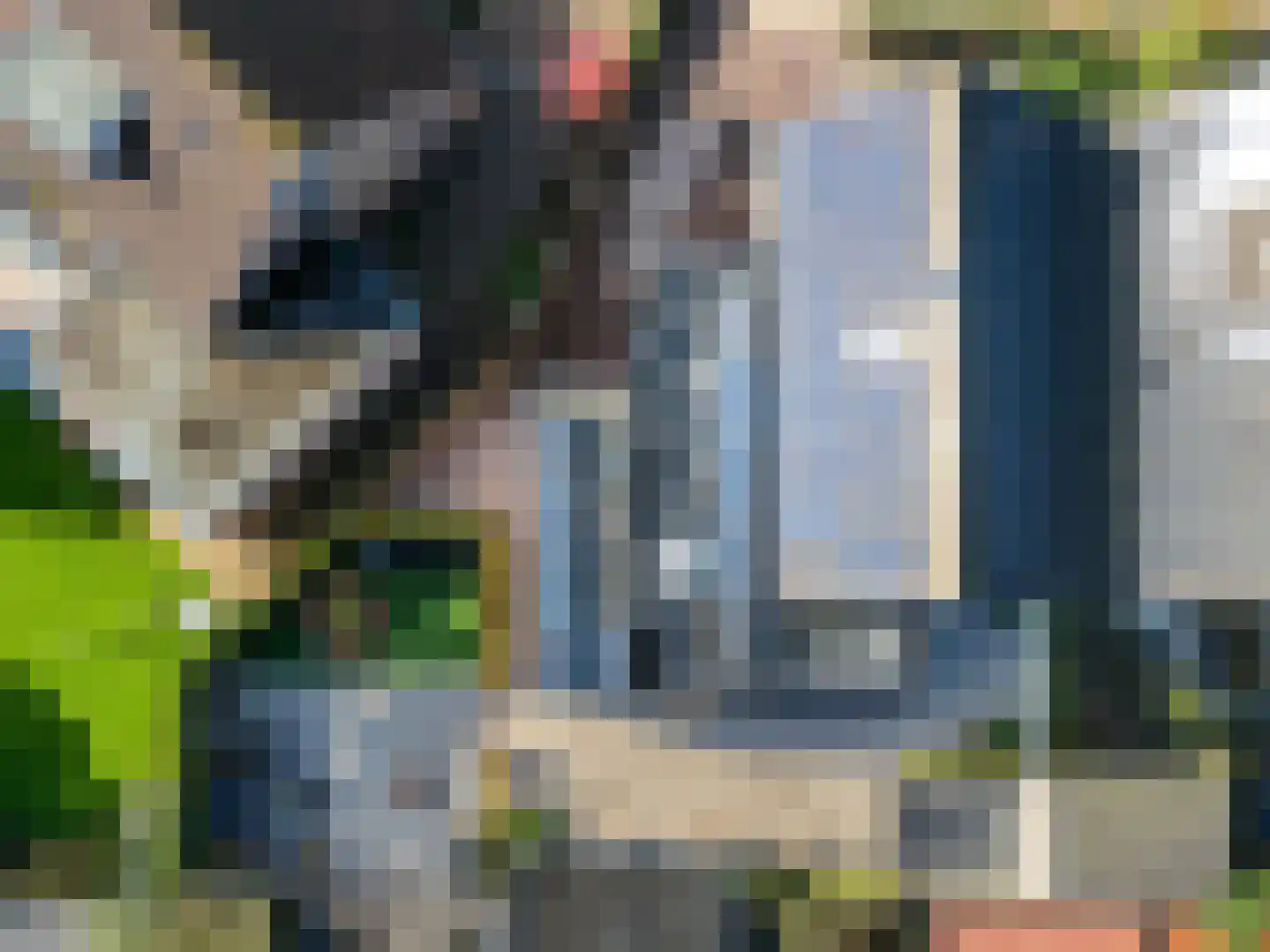 Hertespoor 18 Barneveld thumbnail 68