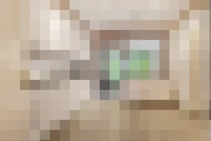 Hertespoor 22 Ede thumbnail 10