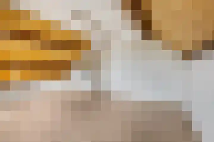 Hertespoor 22 Ede thumbnail 26