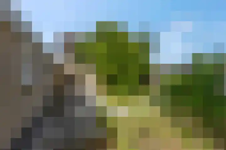 Hertespoor 22 Ede thumbnail 30