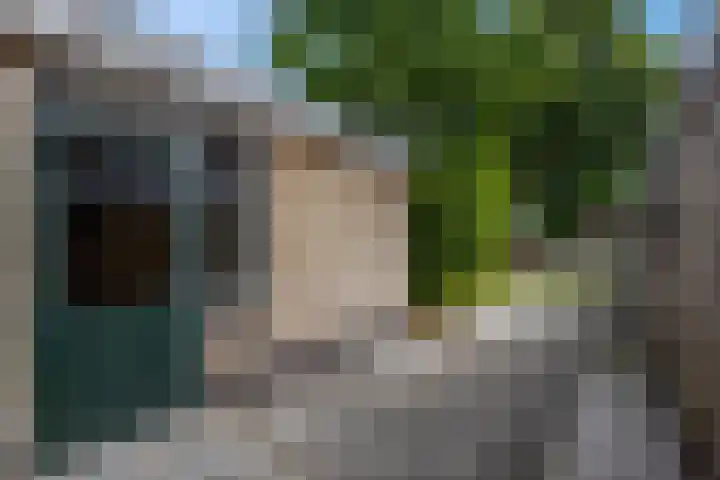 Hertespoor 22 Ede thumbnail 31