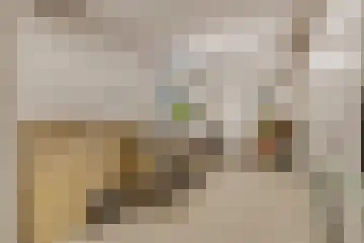 Hertespoor 22 Ede thumbnail 34
