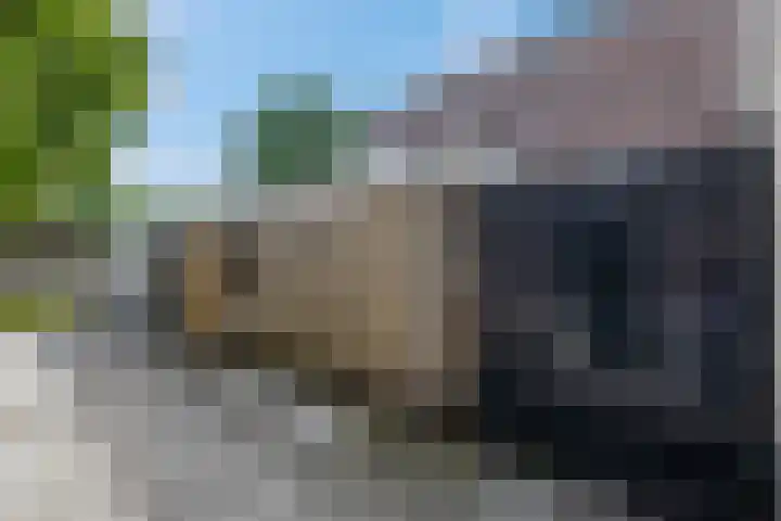 Hertespoor 22 Ede thumbnail 36