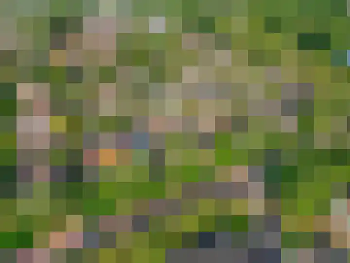Hertespoor 22 Ede thumbnail 48