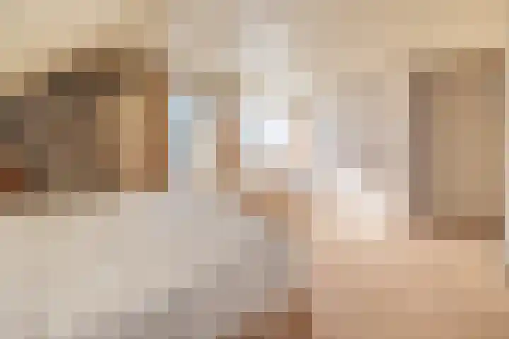 Hertespoor 26 Barneveld thumbnail 31