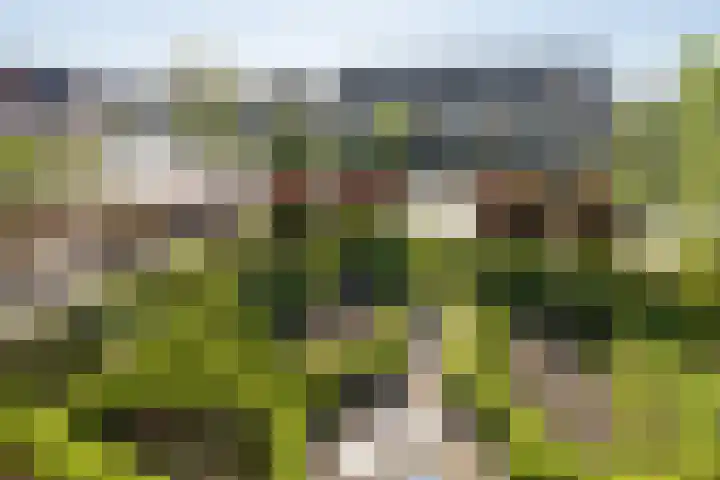 Hertespoor 26 Barneveld thumbnail 33