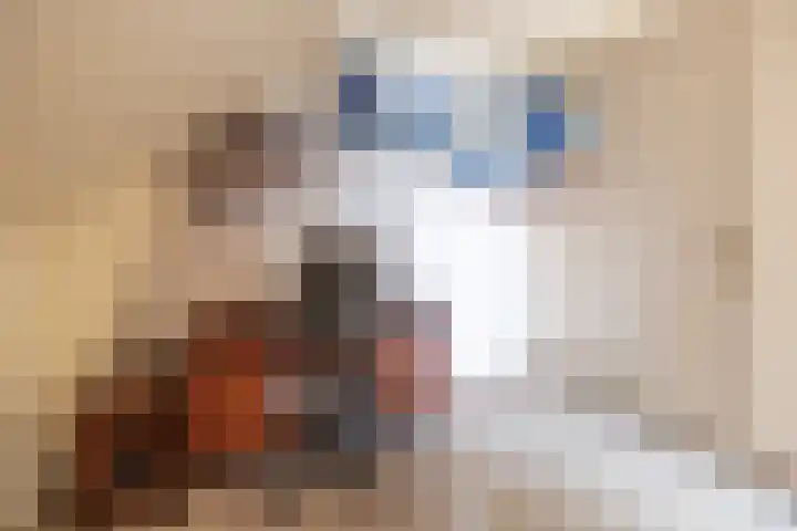 Hertespoor 26 Barneveld thumbnail 37