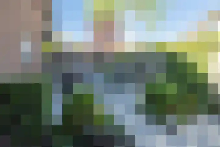 Hertespoor 26 Barneveld thumbnail 48