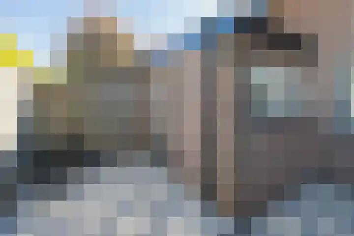 Hertespoor 26 Barneveld thumbnail 51