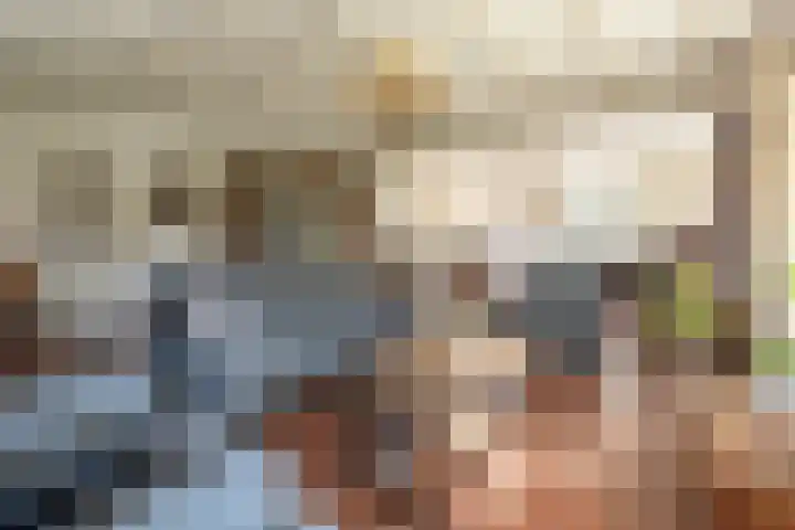 Hertespoor 26 Barneveld thumbnail 9