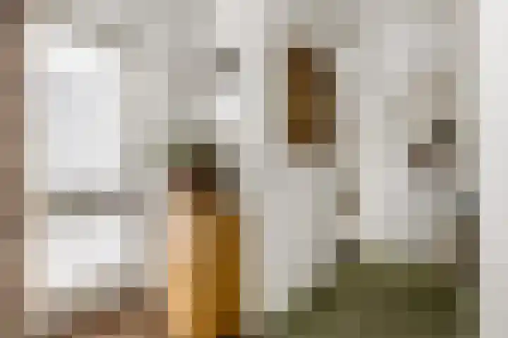 Hertespoor 26 Ede thumbnail 5