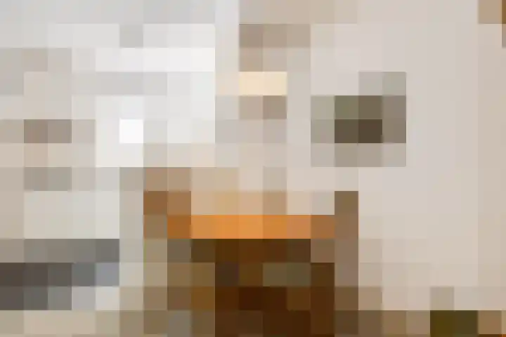 Hertespoor 26 Ede thumbnail 9