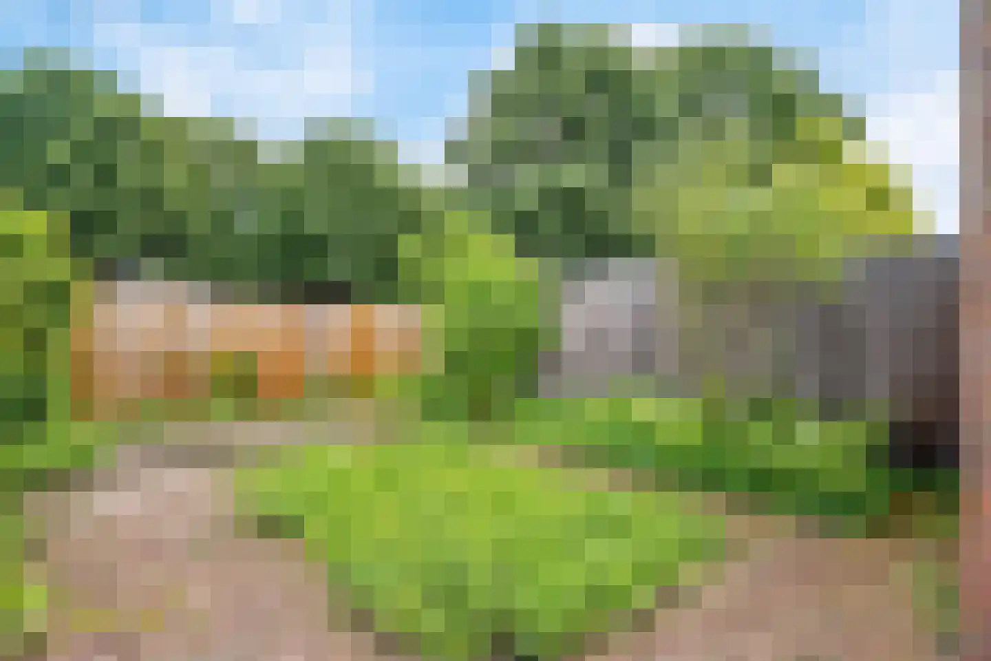 Hertespoor 36 Ede thumbnail 22