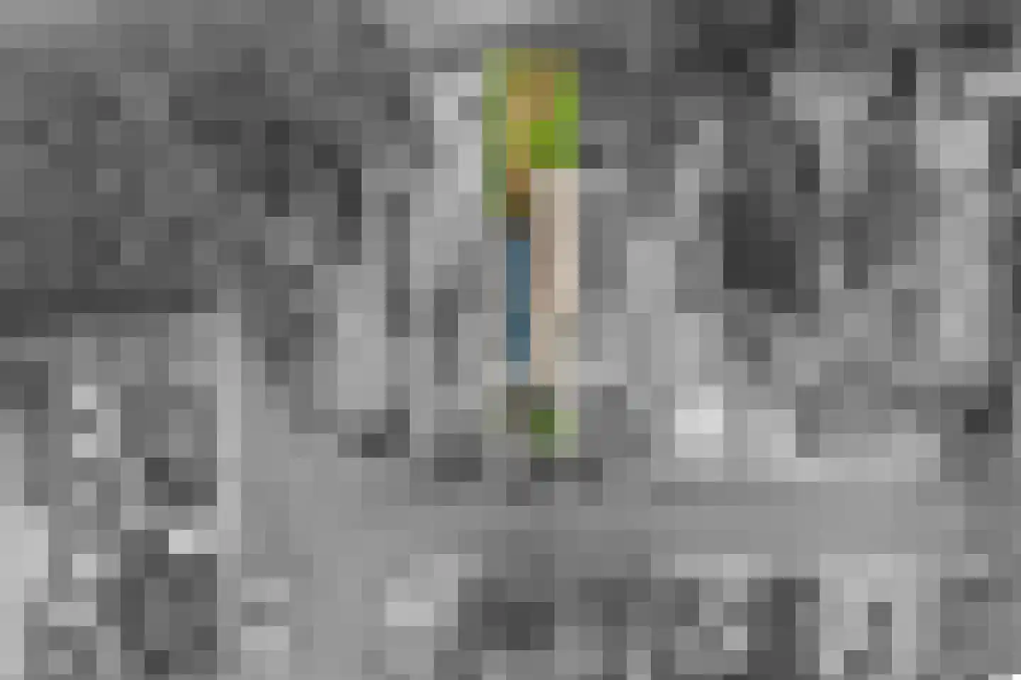 Hertespoor 36 Ede thumbnail 26