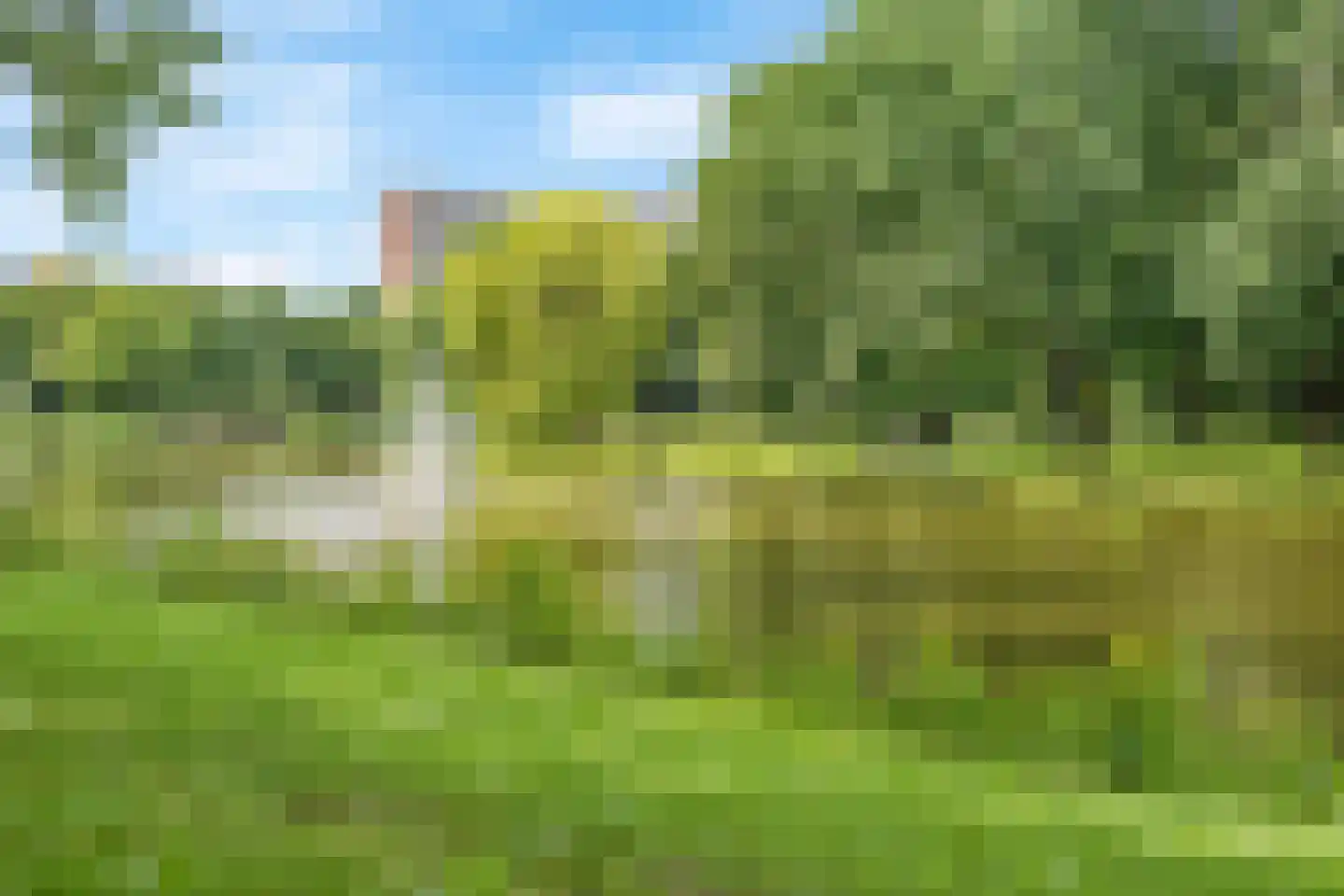 Hertespoor 36 Ede thumbnail 28