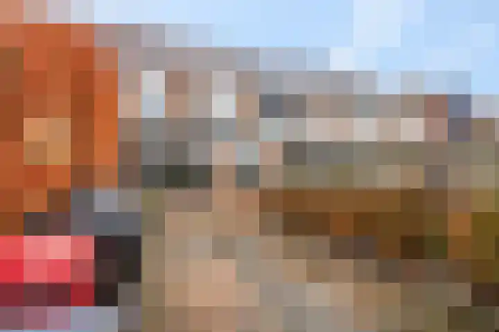 Hertespoor 52 Barneveld thumbnail 30