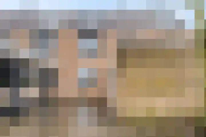 Hertespoor 52 Barneveld thumbnail 6