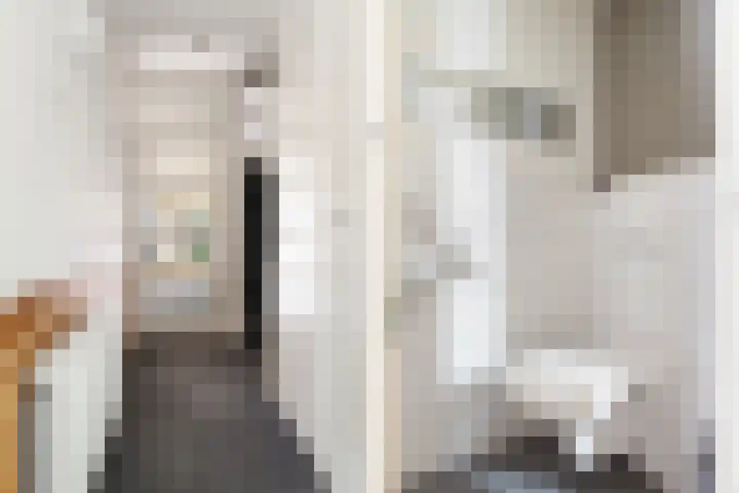 Hertespoor 78 Barneveld thumbnail 15