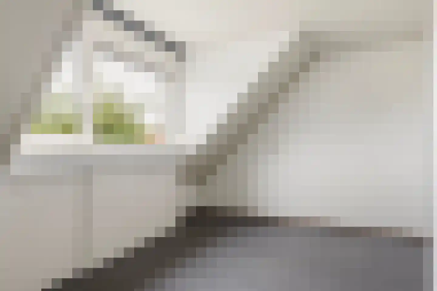 Hertespoor 78 Barneveld thumbnail 28