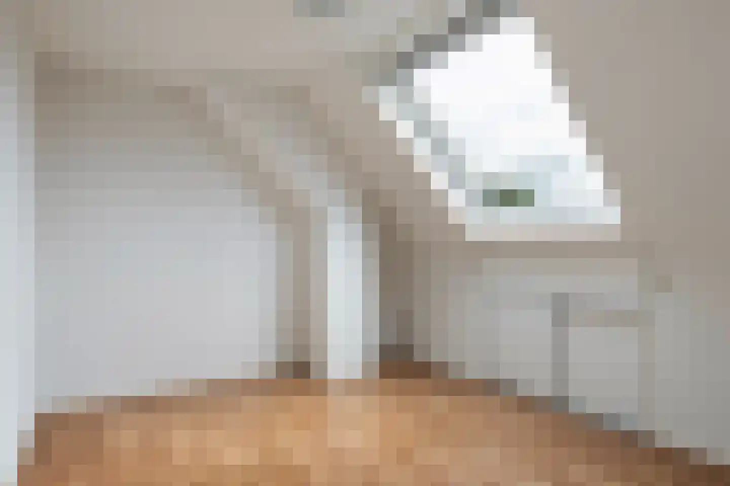 Hertespoor 78 Barneveld thumbnail 30