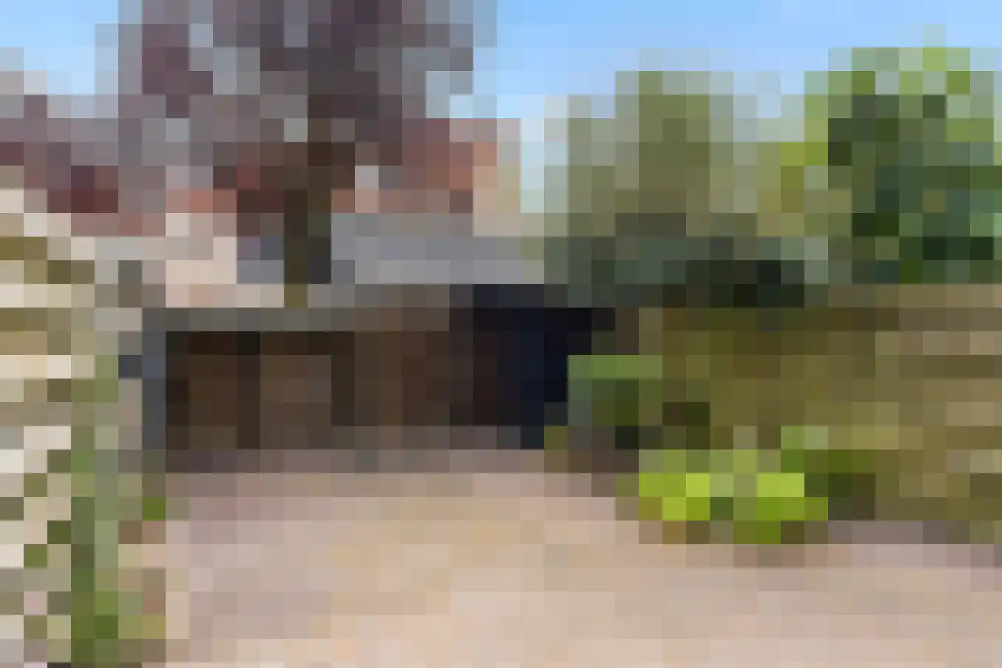 Hertespoor 78 Barneveld thumbnail 32