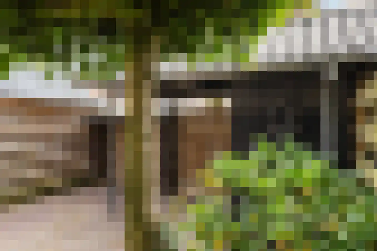 Hertespoor 78 Barneveld thumbnail 33