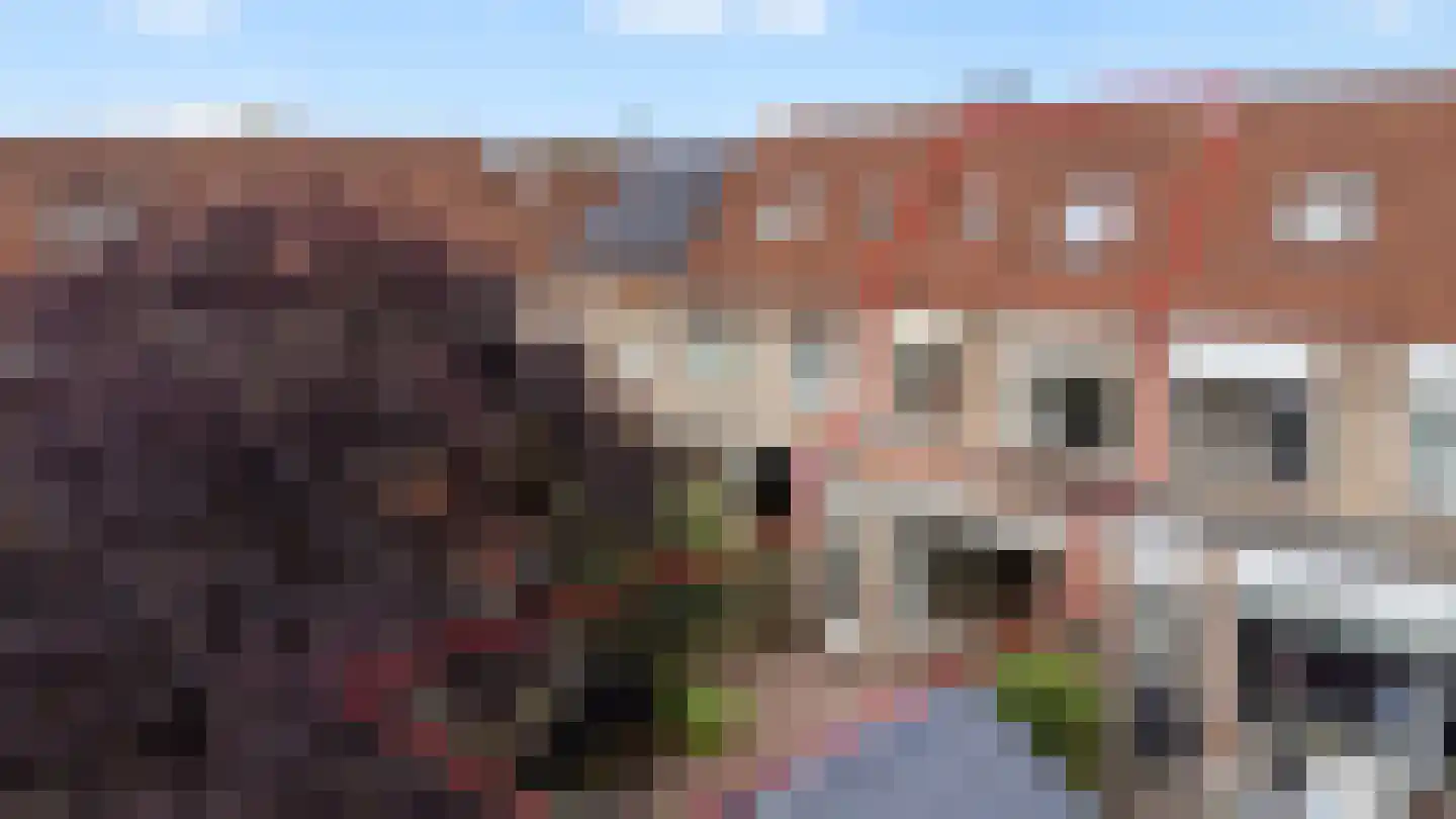 Hertespoor 78 Barneveld thumbnail 35