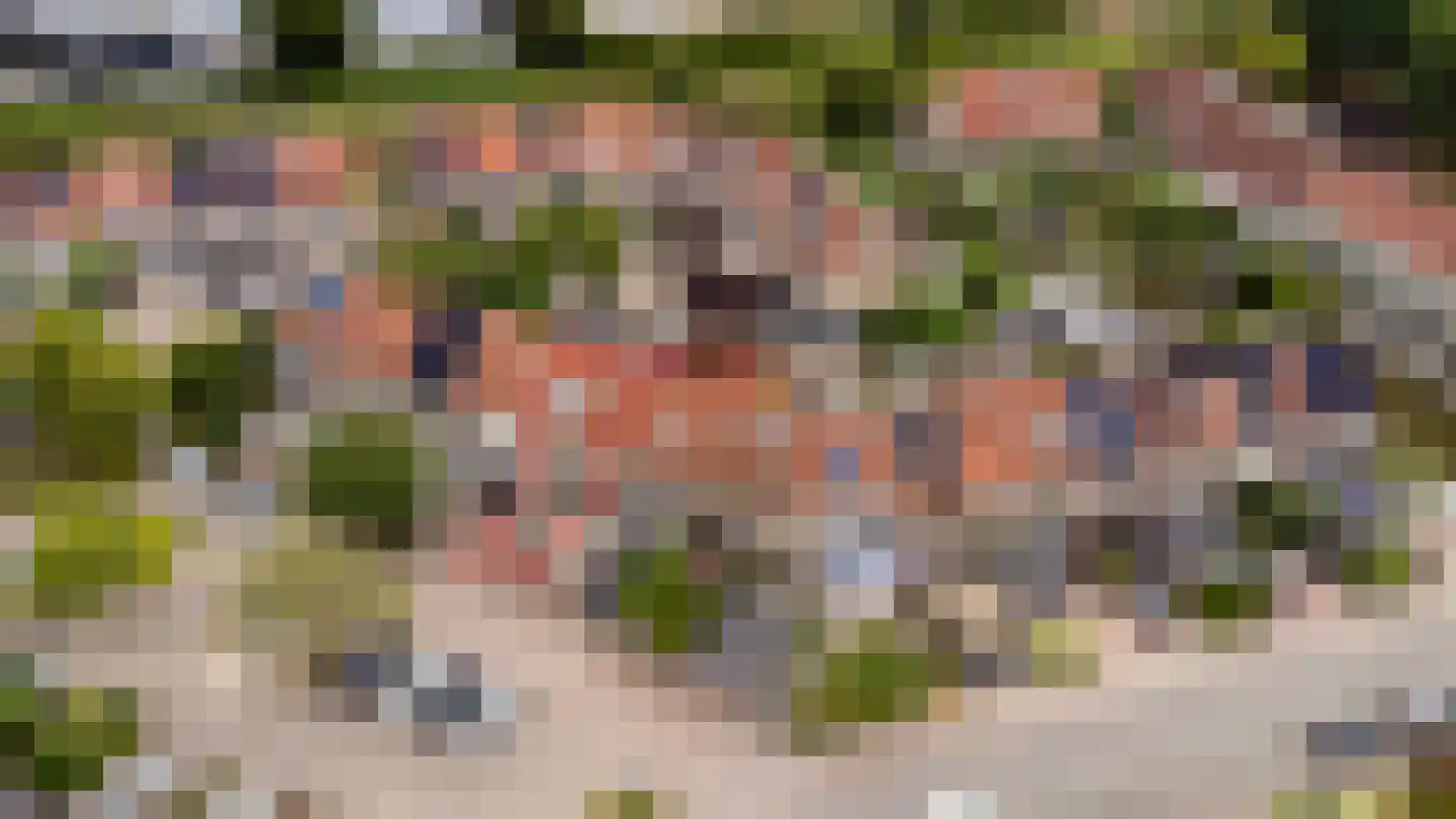 Hertespoor 78 Barneveld thumbnail 4