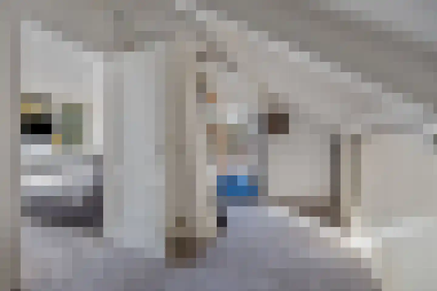 Hertesprong 19 Etten-Leur thumbnail 35