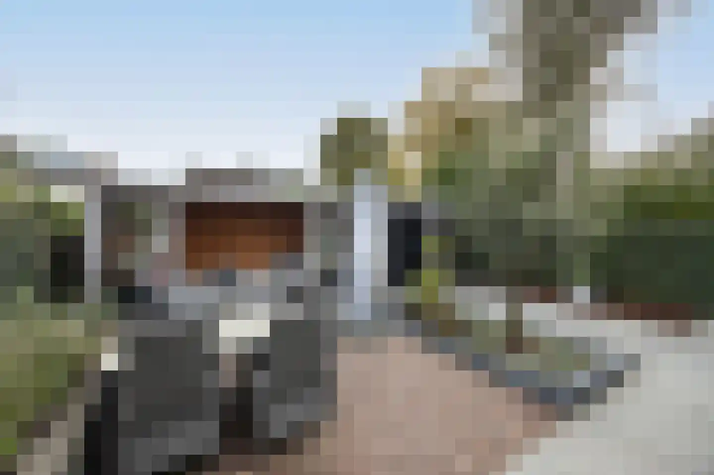 Hertesprong 19 Etten-Leur thumbnail 4