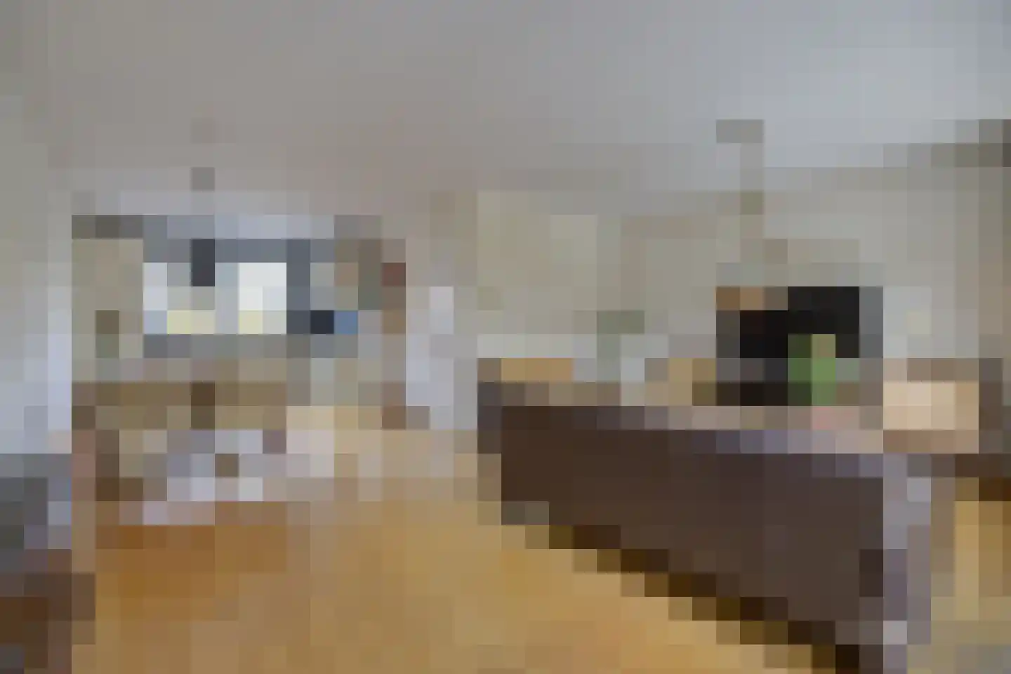 Hertesprong 22 Etten-Leur thumbnail 10