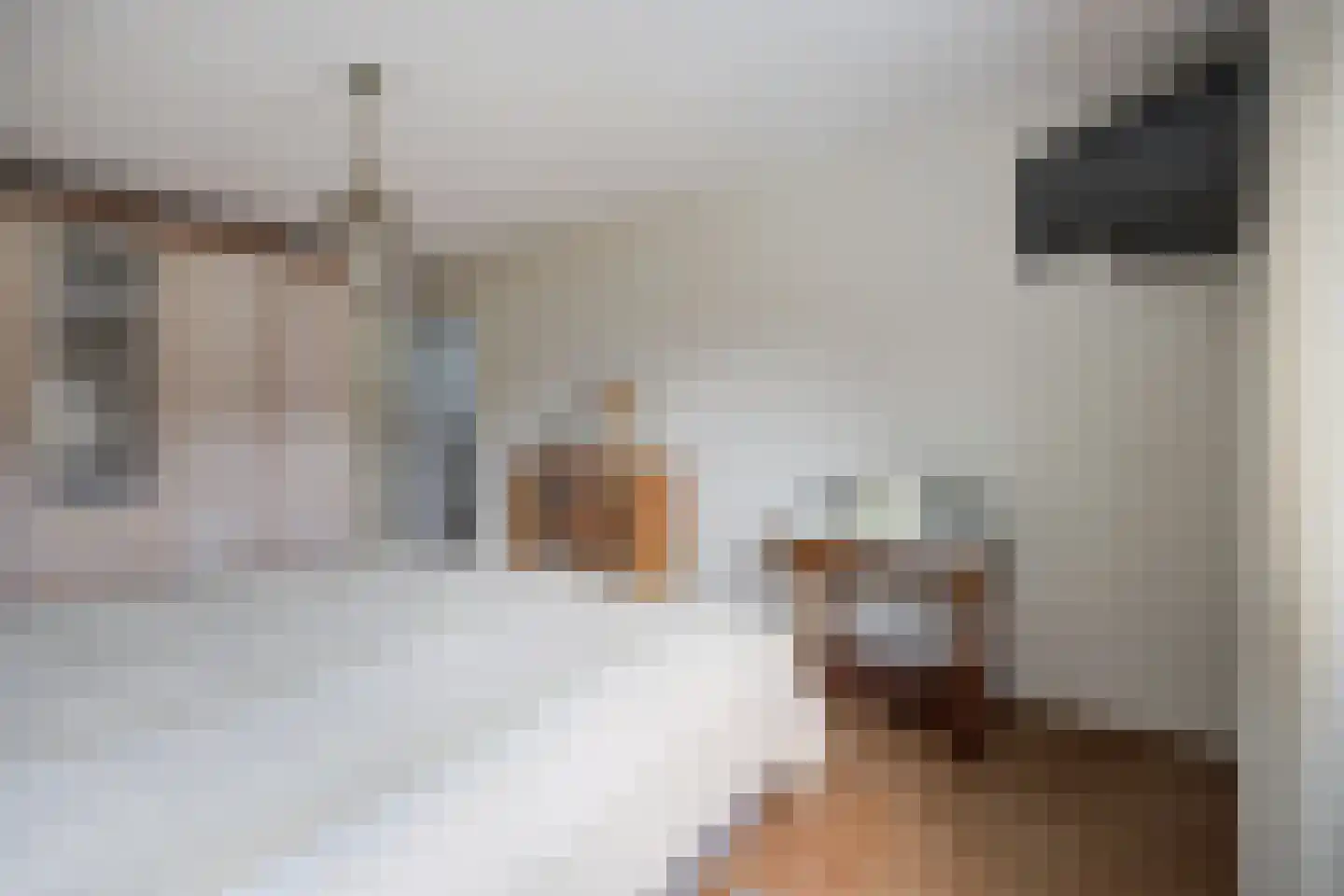Hertesprong 22 Etten-Leur thumbnail 17