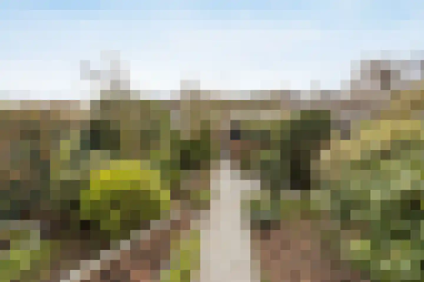 Hertesprong 22 Etten-Leur thumbnail 34