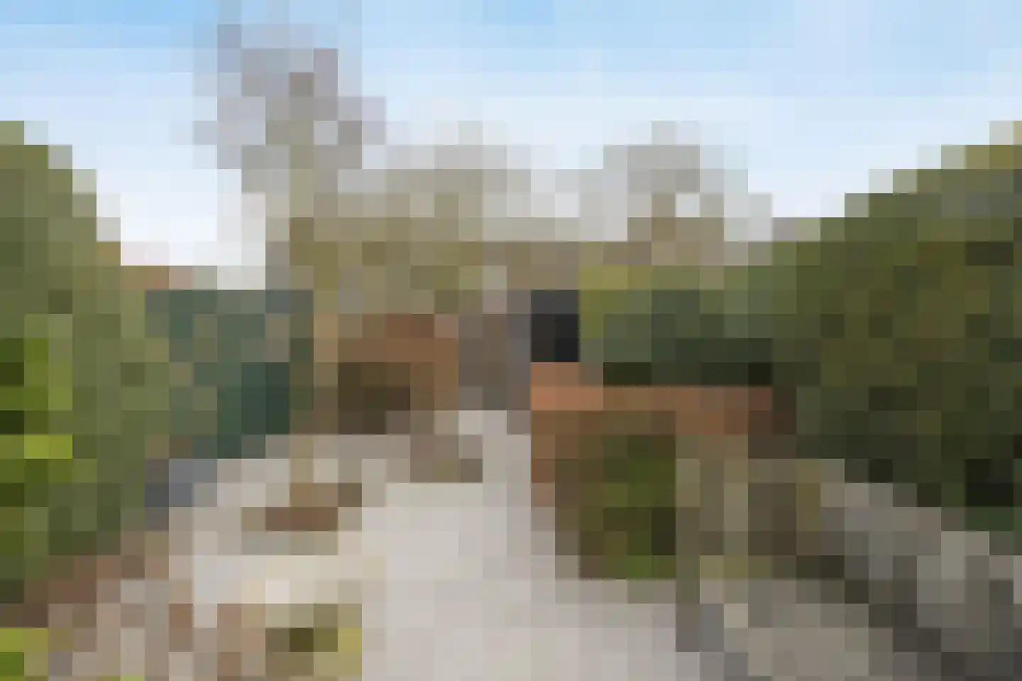 Hertesprong 22 Etten-Leur thumbnail 35