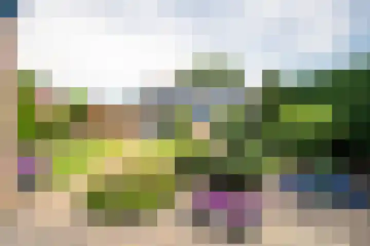 Hertestraat 10 Linne thumbnail 18